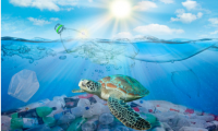 environmental sustainability 2